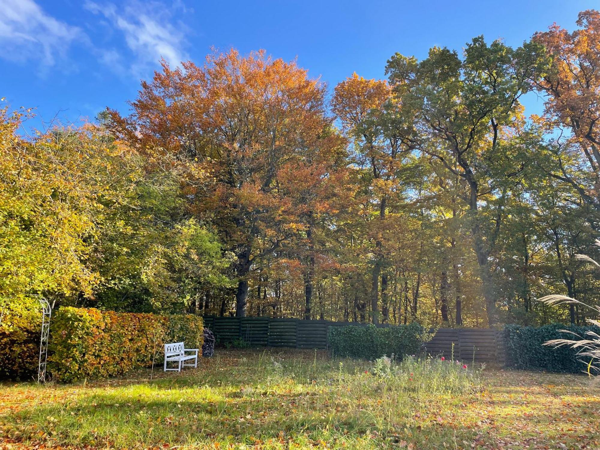 Cozy Private Annex Near Bathing Lake And 30 Min. From Copenhagen スランゲロプ エクステリア 写真